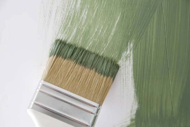 Best Mold Documentation for Insurance Claims  in Pollock Pines, CA