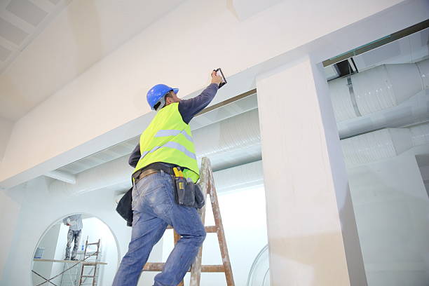 Professional Mold Removal in Pollock Pines, CA